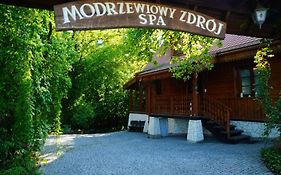 Modrzewiowy Zdrój